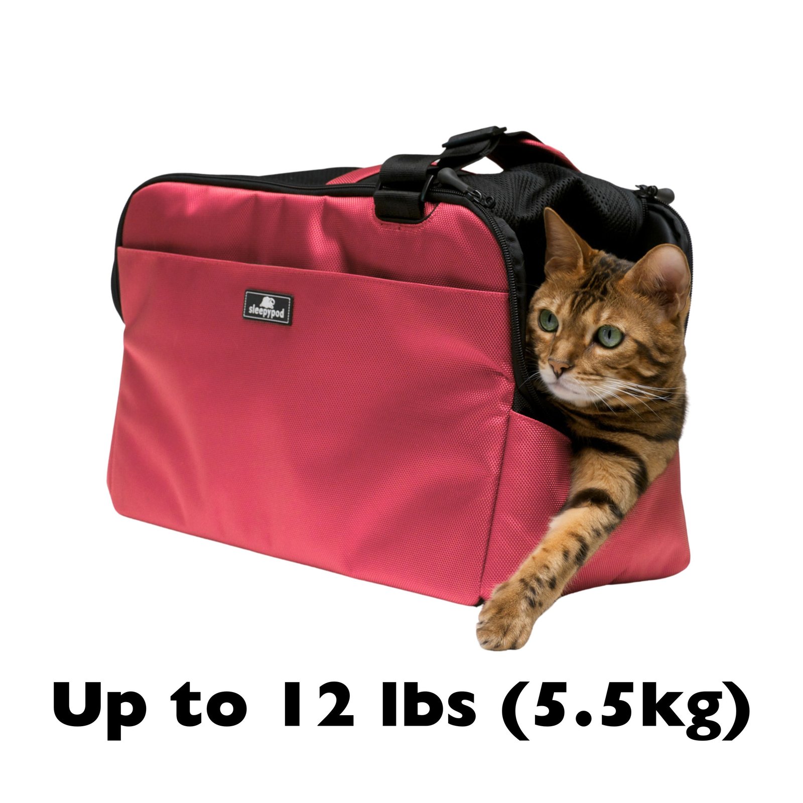 Sleepypod Atom